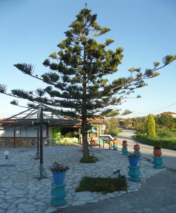 Pansion Tonia Lejlighedshotel Zákynthos by Eksteriør billede